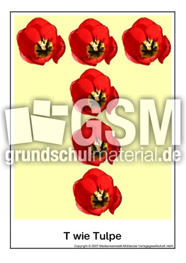T-wie-Tulpe.pdf